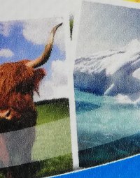 Presenning (440g Frontlit)